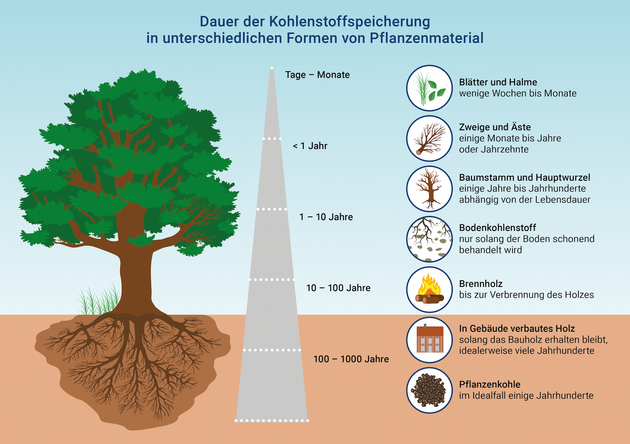 So nutzen CDR-Verfahren die CO₂-Aufnahme & -Speicherung der Pflanzen & Böden. Grafik: Björn Maier.