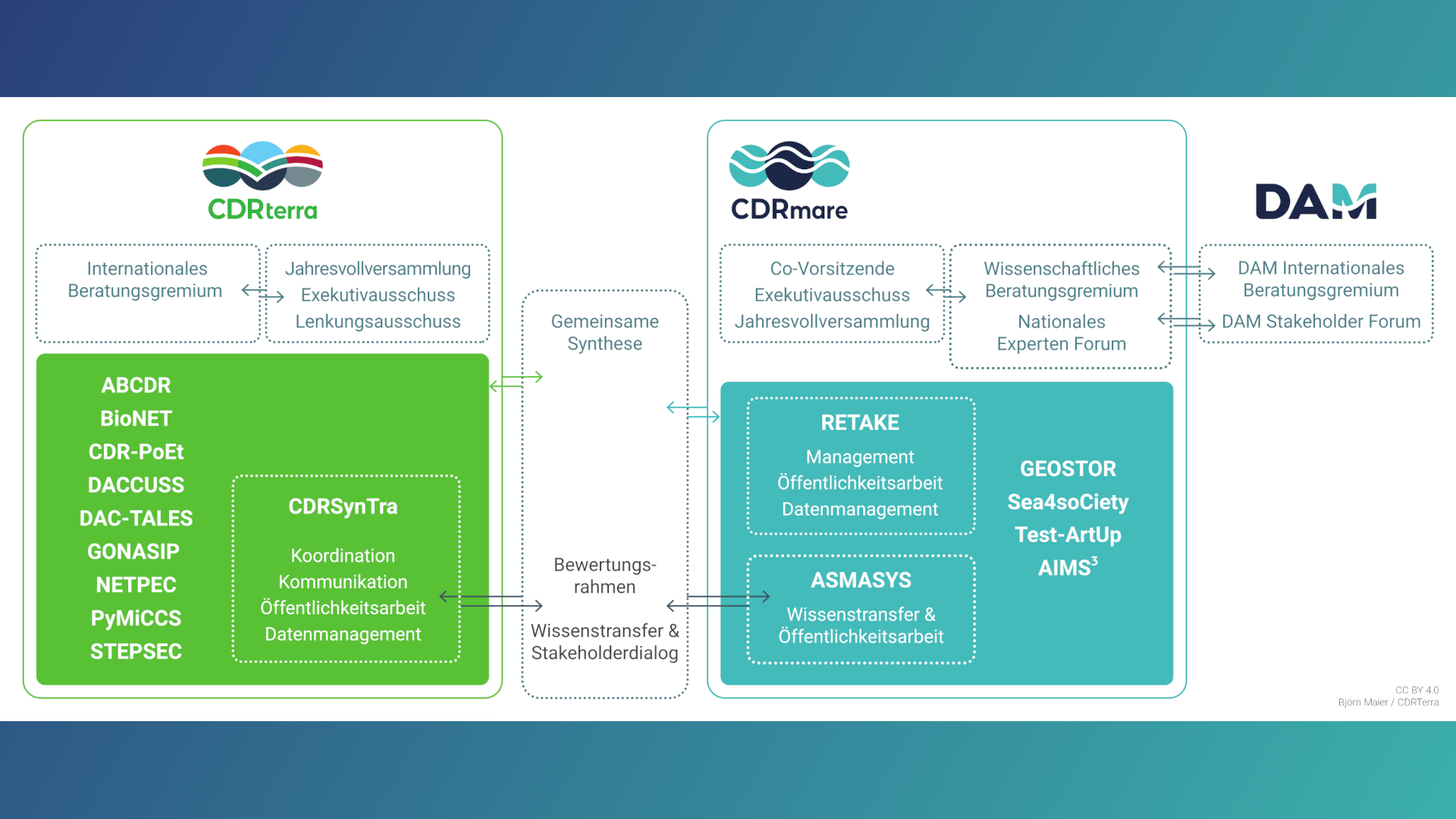 Cdars Interface The interface to the partner program CDRmare - CDRterra