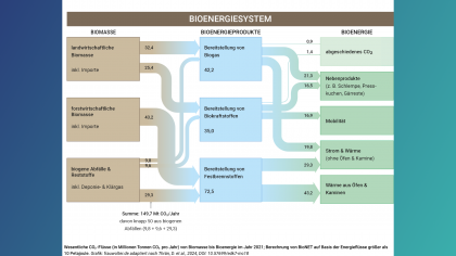 CO₂ Fluxes in the Bioenergy System