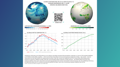 Global warming under ambitious global afforestation