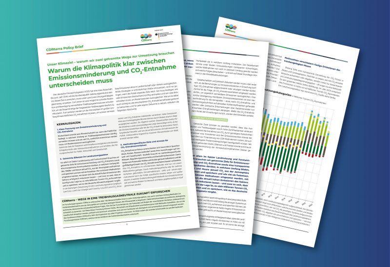 Policy Brief Getrennte Ziele